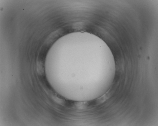 X0000074300136200609081926