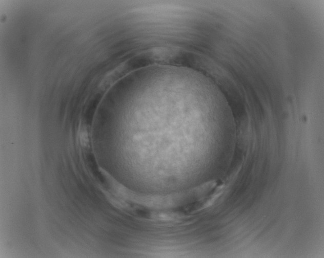 X0000074300137200609081926