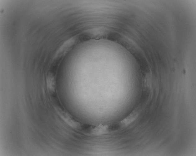 X0000074300138200609081926