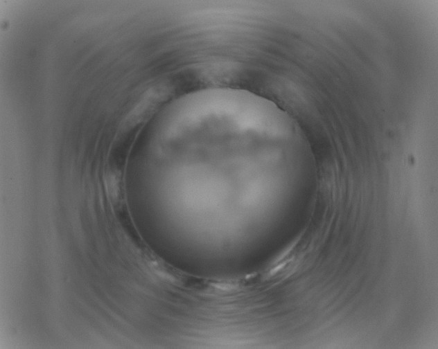 X0000074300139200609081926