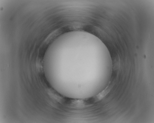 X0000074300140200609081926