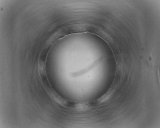 X0000074300141200609081926