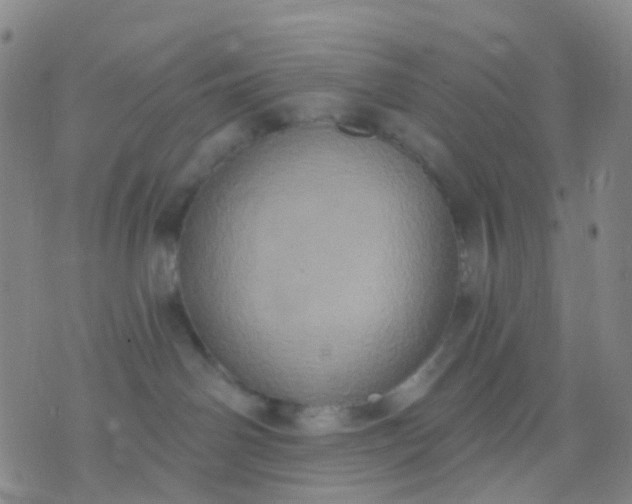 X0000074300142200609081926