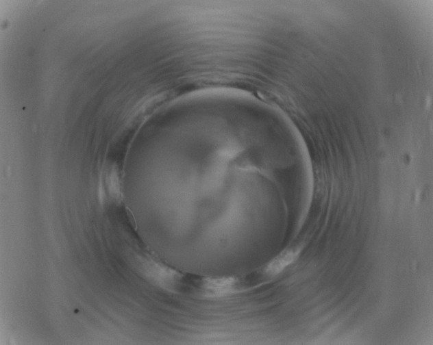 X0000074300143200609081926