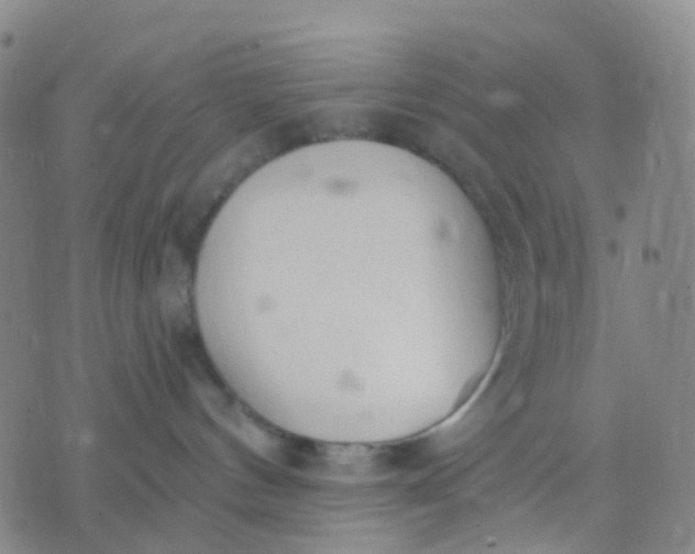 X0000074300144200609081926