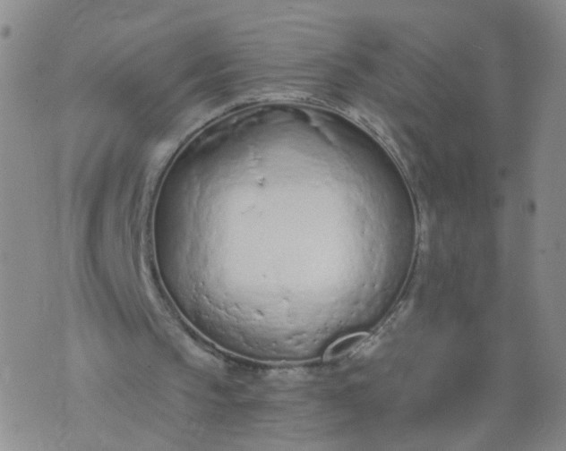 X0000074300145200609081926