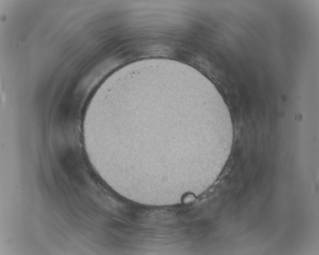 X0000074300146200609081926