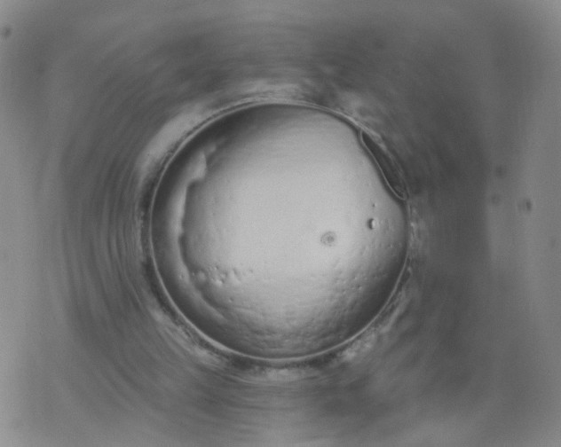 X0000074300149200609081926