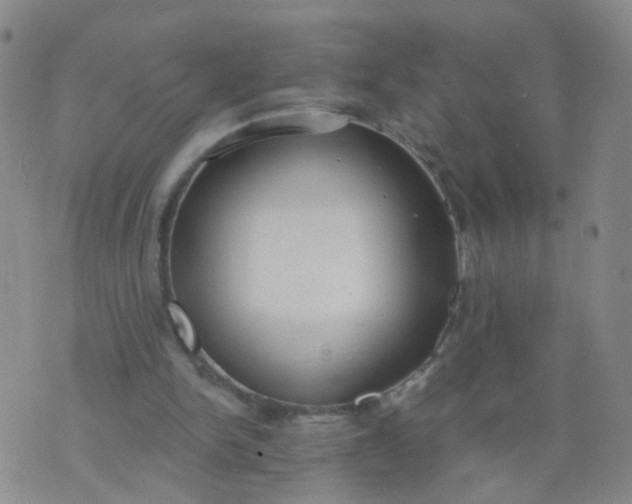 X0000074300150200609081926