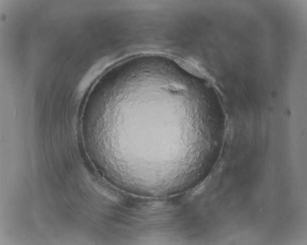 X0000074300151200609081926