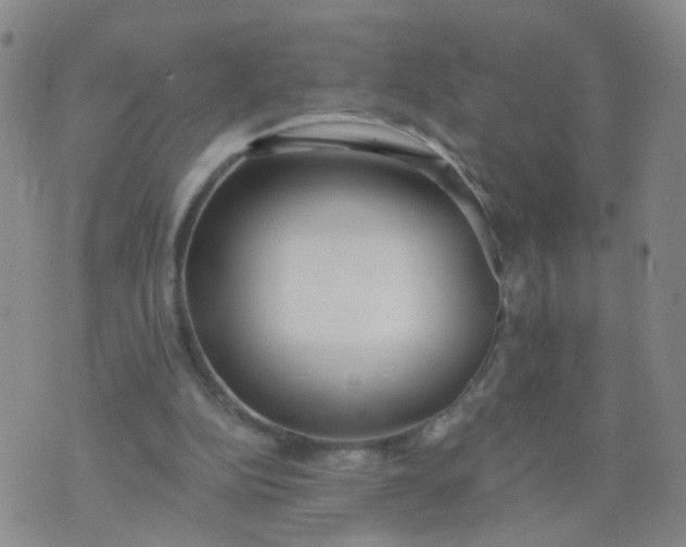 X0000074300152200609081926