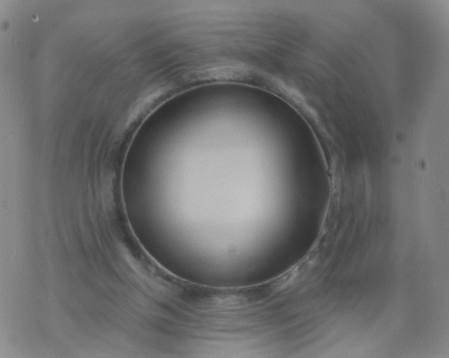 X0000074300154200609081926