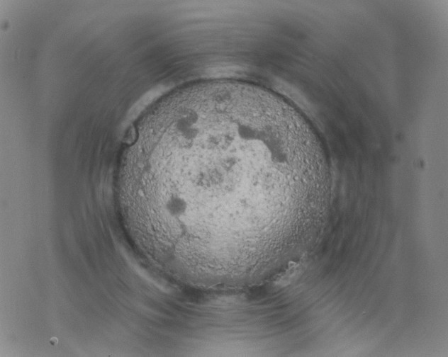 X0000074300155200609081926