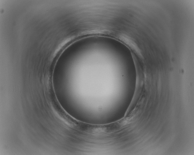 X0000074300156200609081926