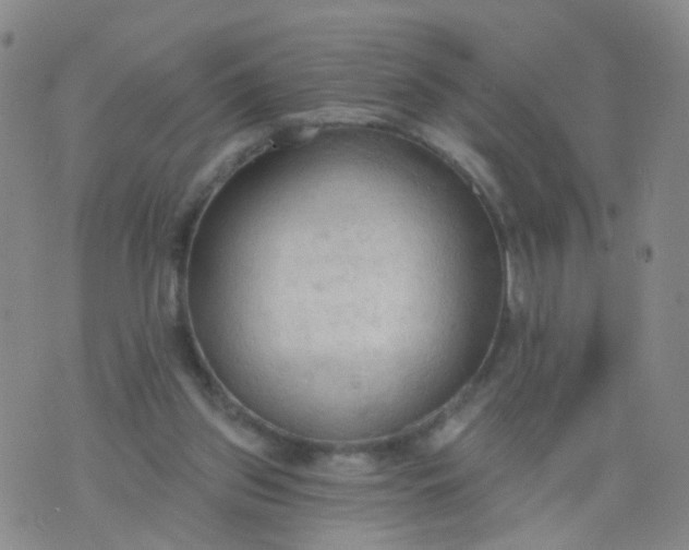 X0000074300157200609081926