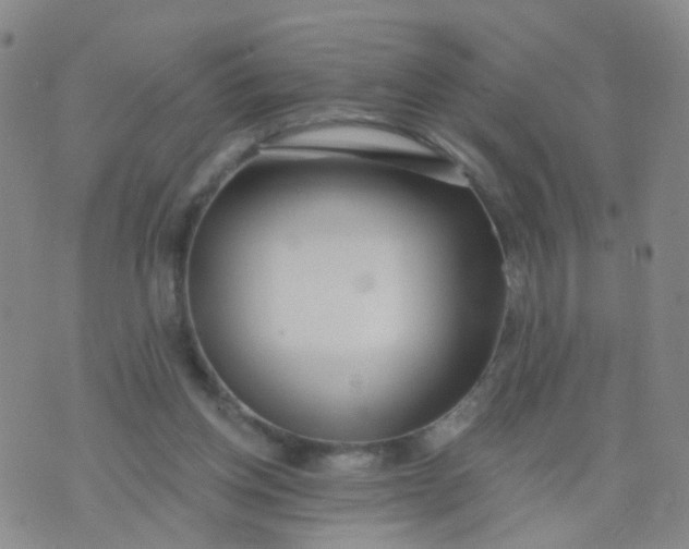 X0000074300158200609081926