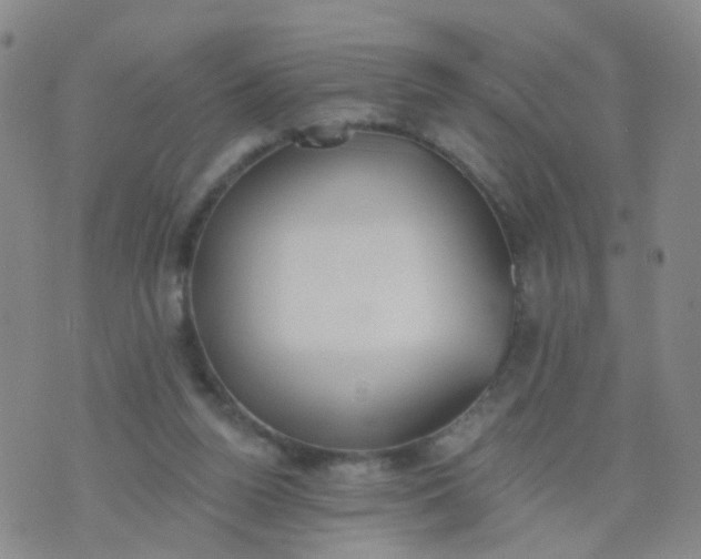 X0000074300160200609081926