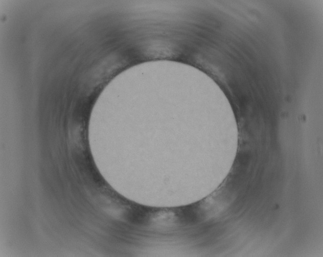 X0000074300162200609081926