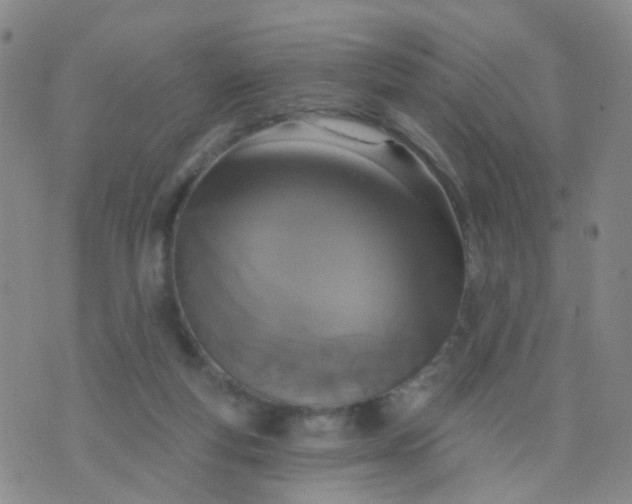 X0000074300163200609081926