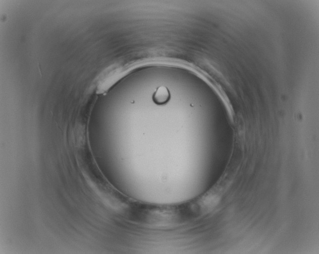 X0000074300164200609081926