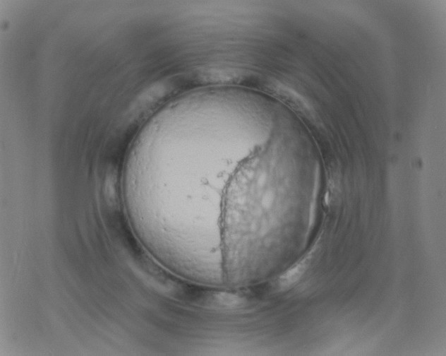 X0000074300166200609081926