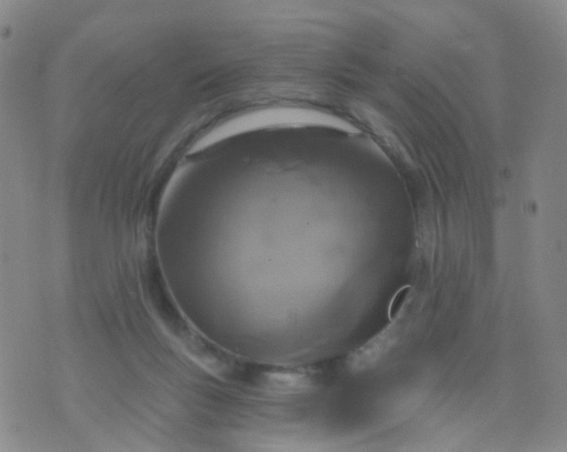 X0000074300167200609081926