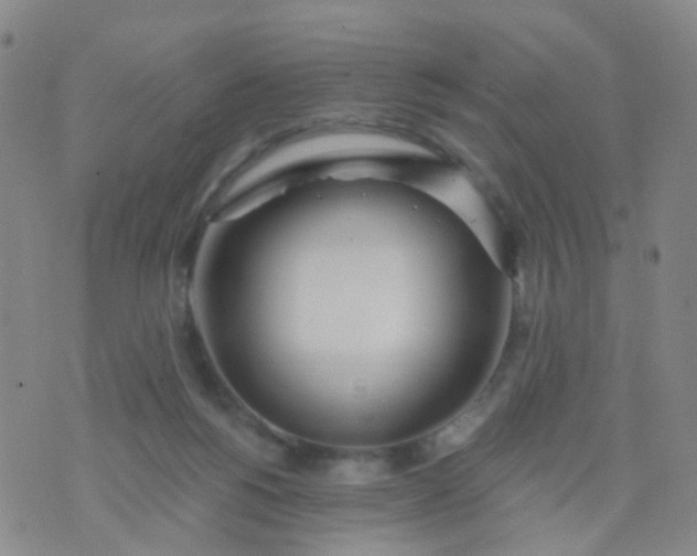 X0000074300168200609081926