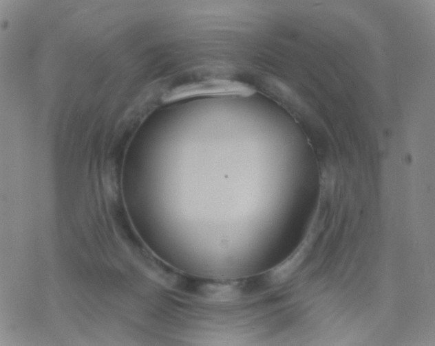 X0000074300170200609081926