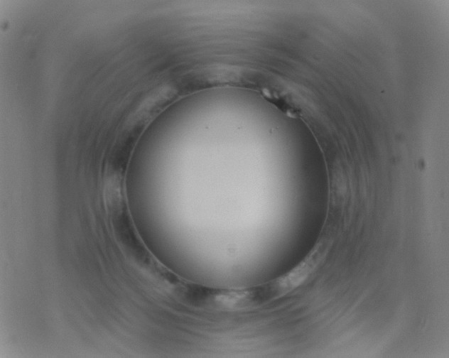 X0000074300172200609081926