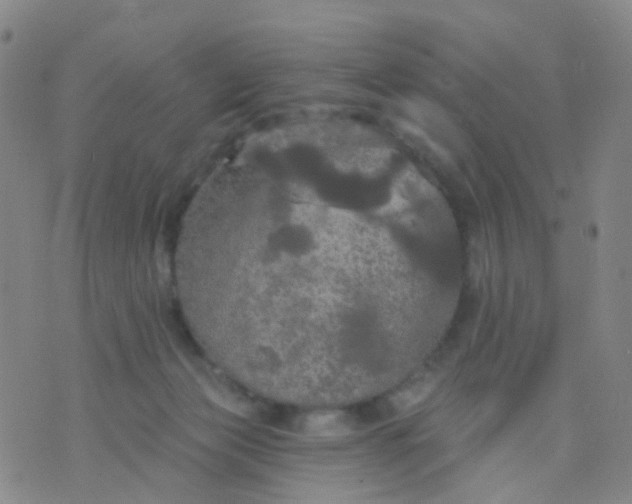 X0000074300173200609081926