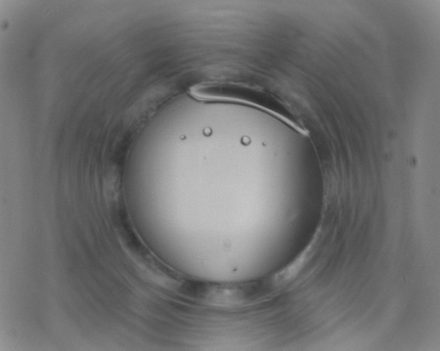 X0000074300174200609081926