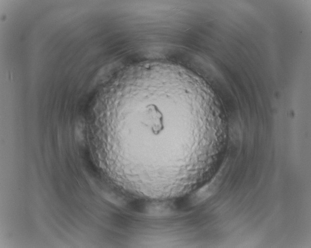 X0000074300175200609081926