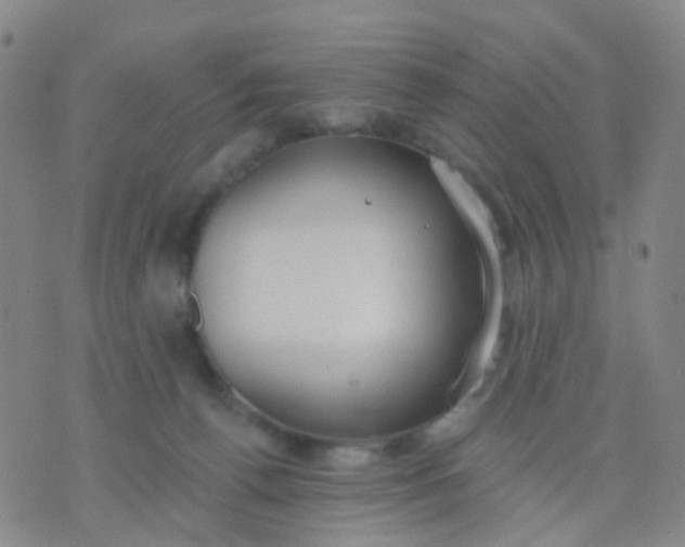 X0000074300176200609081926