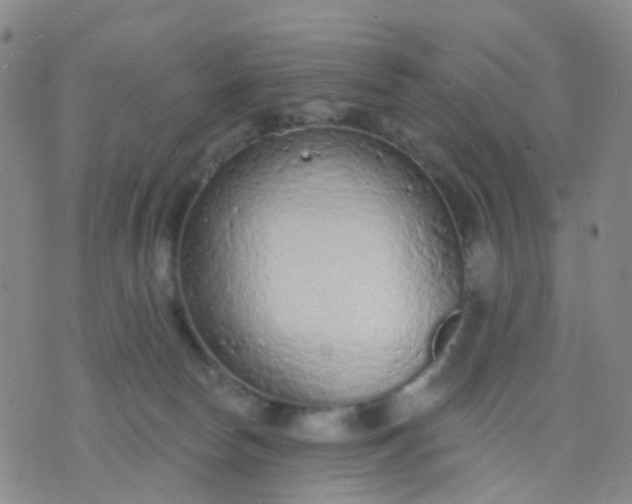 X0000074300178200609081926