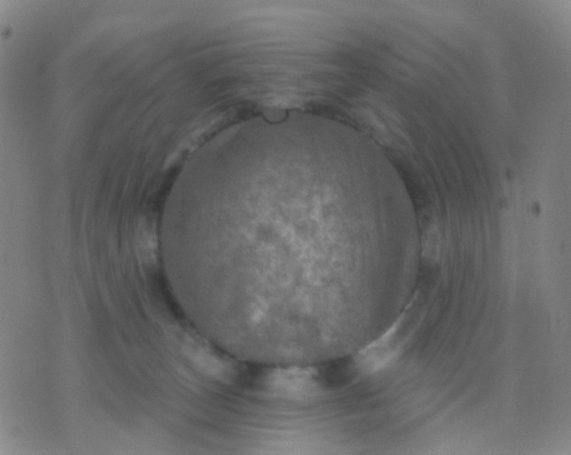 X0000074300179200609081926