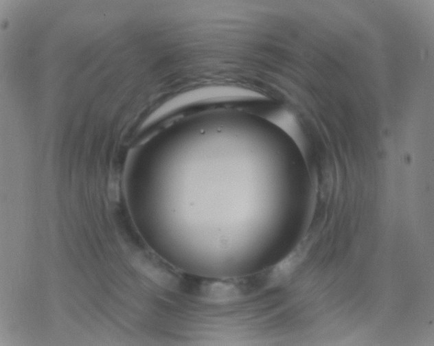 X0000074300180200609081926