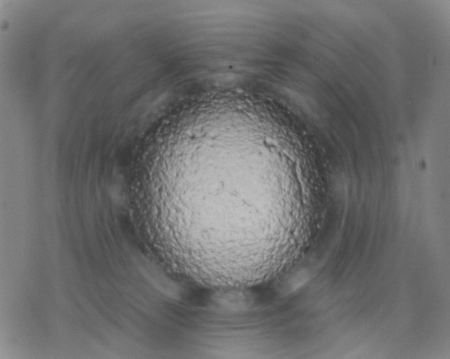 X0000074300181200609081926