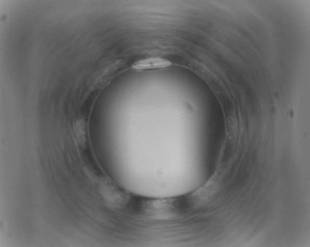 X0000074300184200609081926