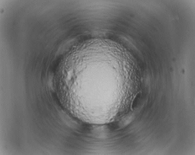 X0000074300185200609081926