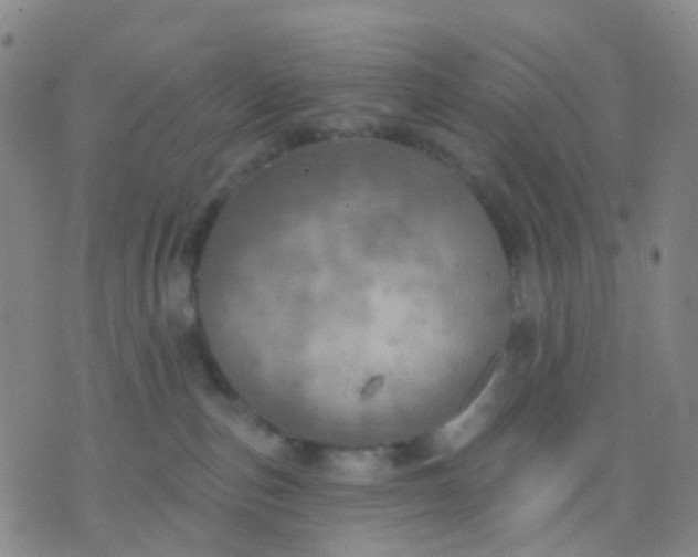 X0000074300187200609081926