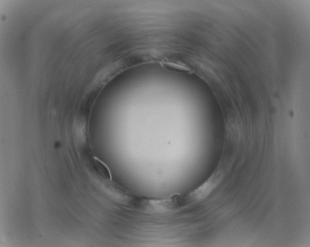 X0000074300188200609081926