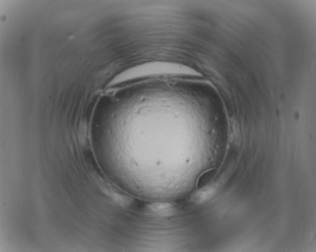 X0000074300189200609081926