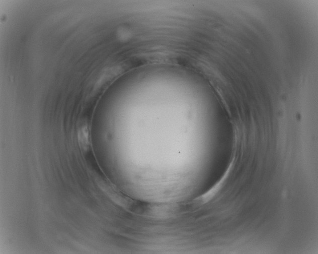 X0000074300190200609081926