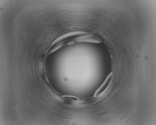 X0000074300192200609081926