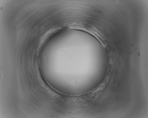 X0000074300193200609081926