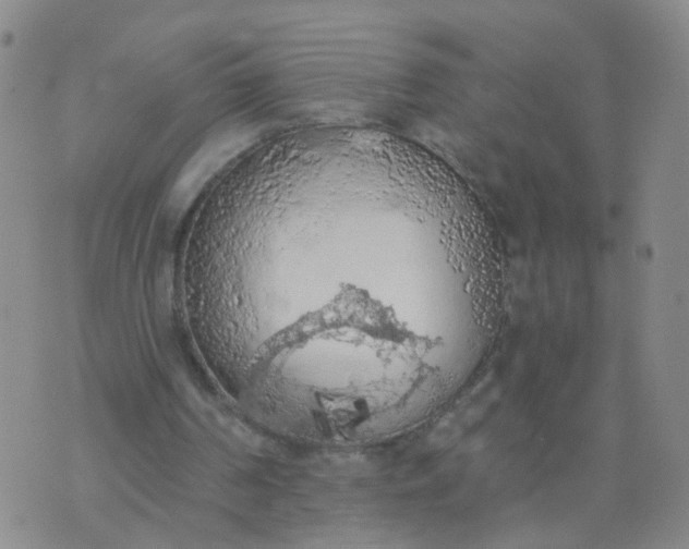 X0000074300194200609081925