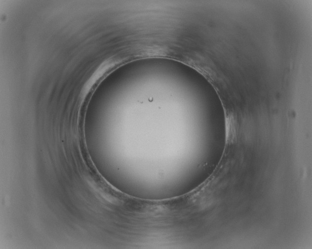 X0000074300195200609081925