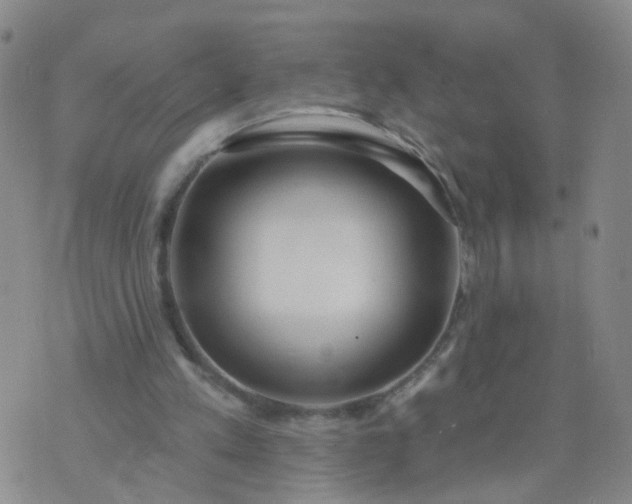 X0000074300197200609081925