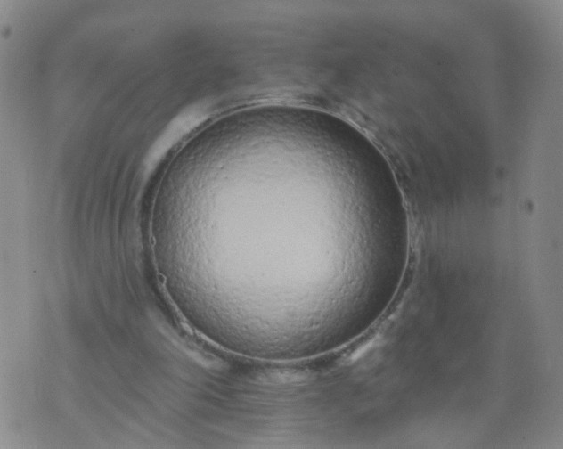 X0000074300198200609081925