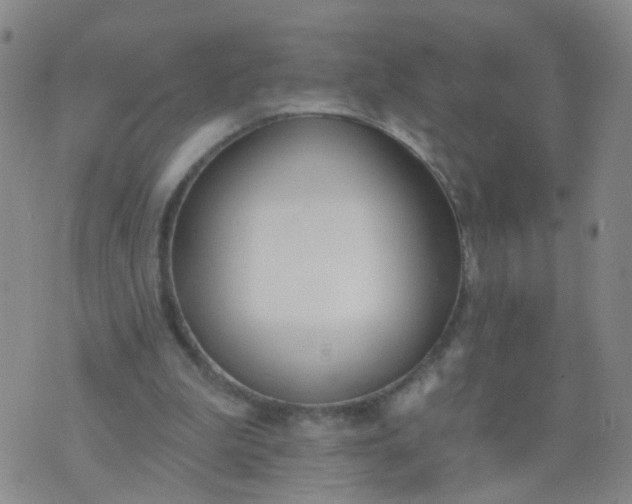 X0000074300199200609081925